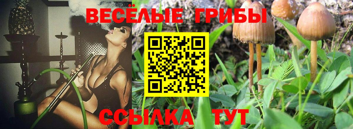 Псилоцибиновые грибы прущие грибы Пермь