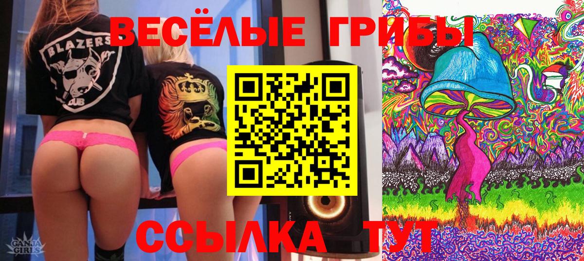 Галлюциногенные грибы мицелий  Вход с VPN  Пермь 